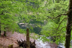 Wiesensee-5