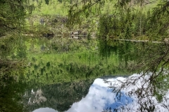 Wiesensee-6