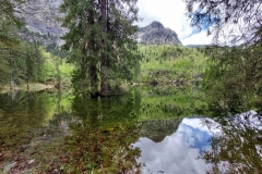 Wiesensee-7