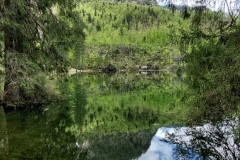 Wiesensee-8