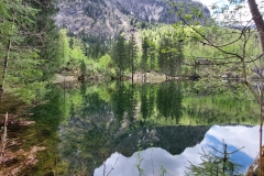 Wiesensee-9