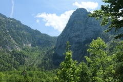 Mitt__2