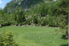 Mitt__6
