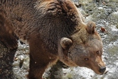 thumbs_NIK_9889_4