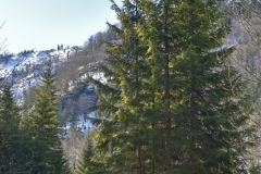 thumbs_NIK_9893_7