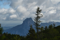 DSC_1700