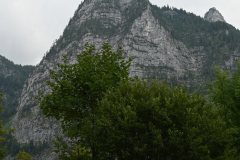 DSC_0545