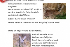Wunschzettel-1