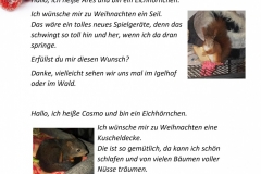 Wunschzettel-2