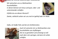 Wunschzettel-3