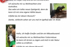 Wunschzettel-4
