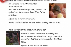 Wunschzettel-5