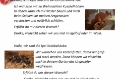 Wunschzettel-6