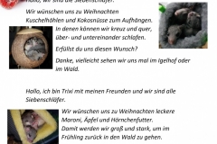 Wunschzettel-7