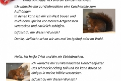 Wunschzettel-8