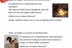 Wunschzettel-9