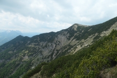 P1000897