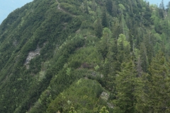 P1000917