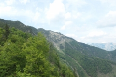P1000934